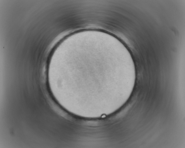 X0000113591126200910161837