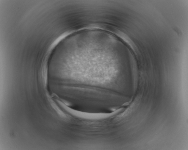 X0000113591127200910161837