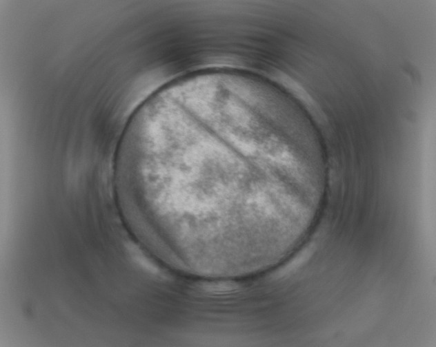X0000113591129200910161837