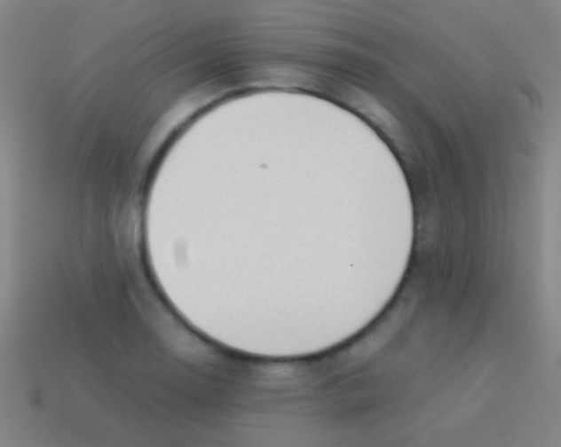 X0000113591130200910161837