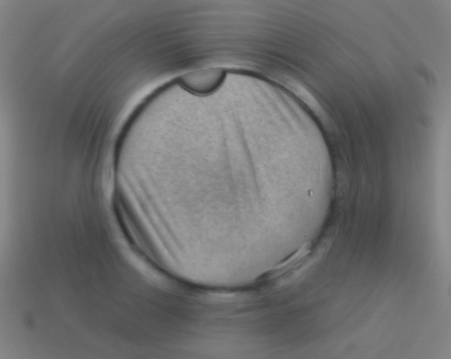 X0000113591132200910161837