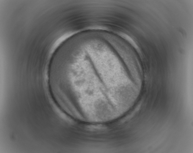 X0000113591133200910161837