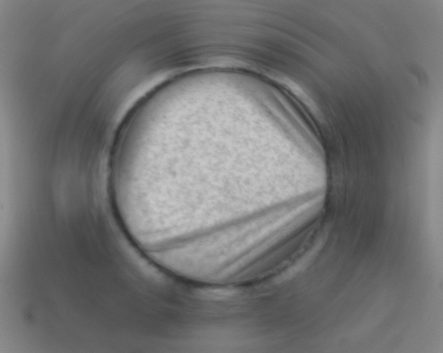 X0000113591134200910161837