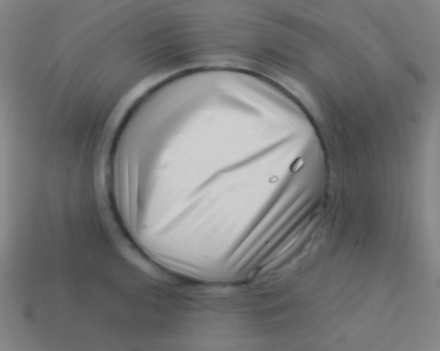 X0000113591136200910161837