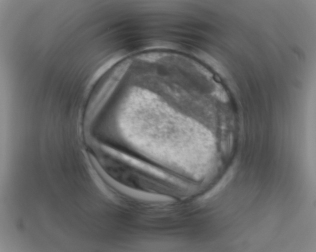 X0000113591137200910161837