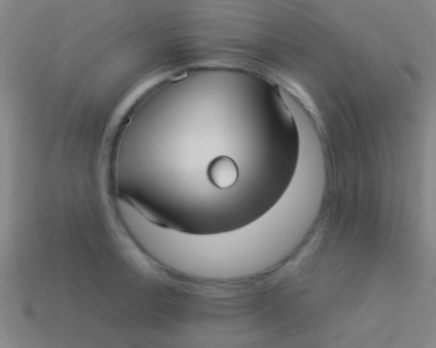 X0000113591138200910161837