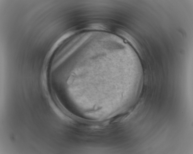 X0000113591139200910161837