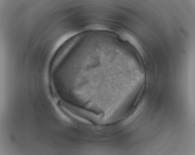 X0000113591141200910161837