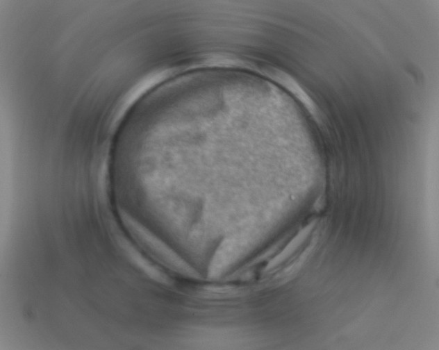 X0000113591142200910161837