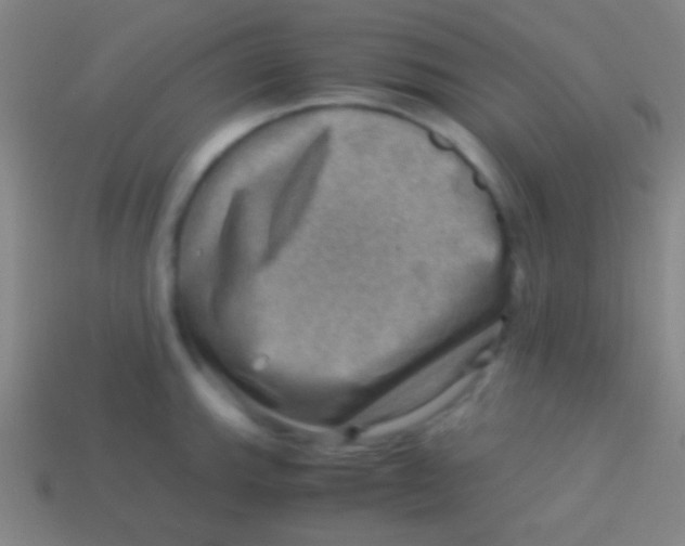 X0000113591143200910161837
