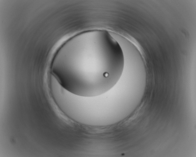X0000113591144200910161837