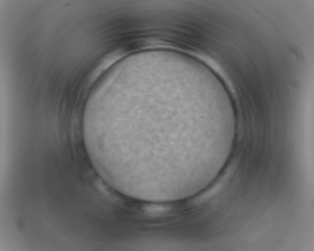 X0000113591145200910161837