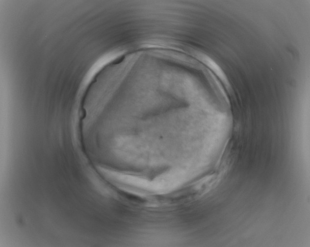 X0000113591146200910161837