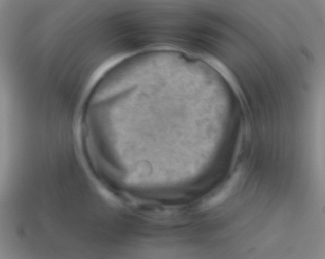 X0000113591149200910161837