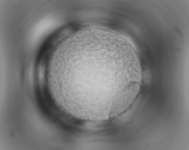 X0000113591150200910161837