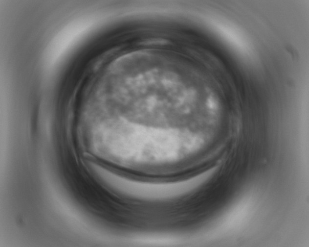 X0000113591151200910161837