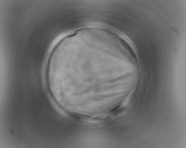 X0000113591152200910161837