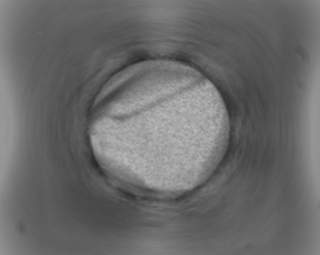 X0000113591153200910161836
