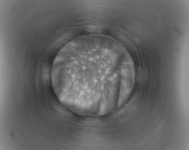X0000113591154200910161836