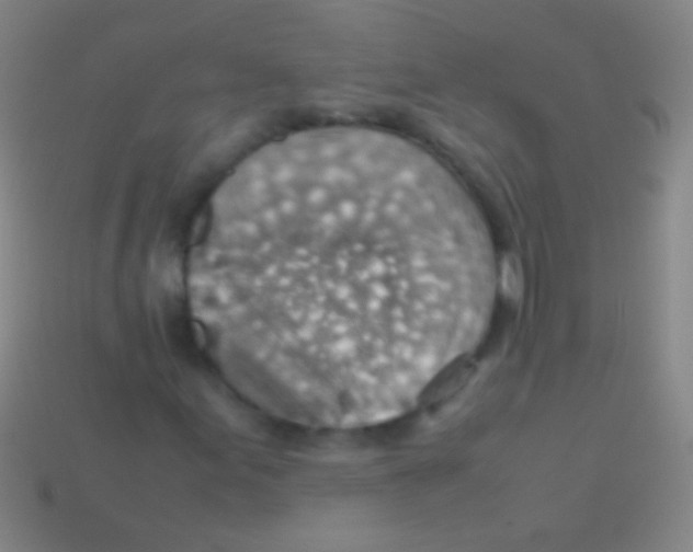 X0000113591155200910161836