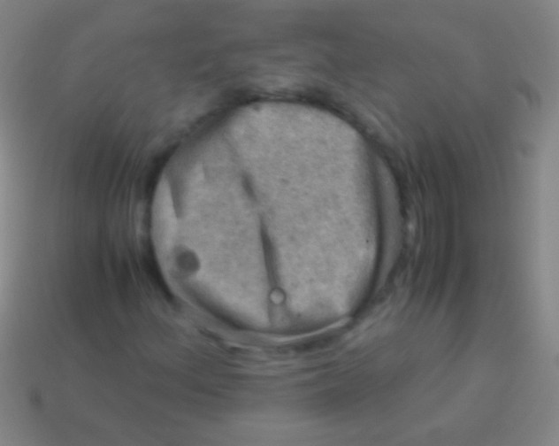 X0000113591156200910161836