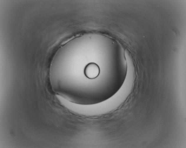 X0000113591157200910161836