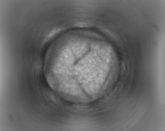 X0000113591158200910161836