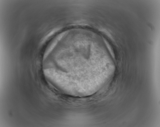 X0000113591159200910161836