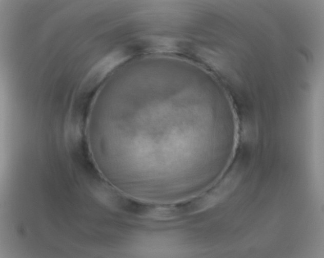 X0000113591161200910161836