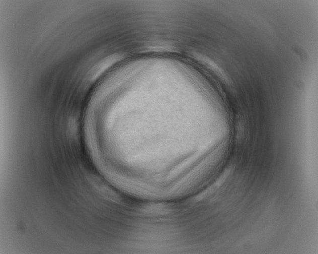 X0000113591162200910161836