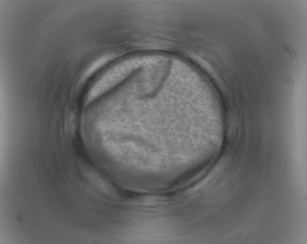 X0000113591163200910161836