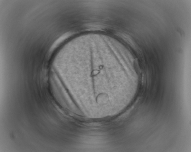 X0000113591164200910161836