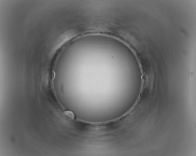 X0000113591165200910161836