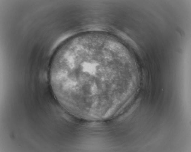 X0000113591166200910161836