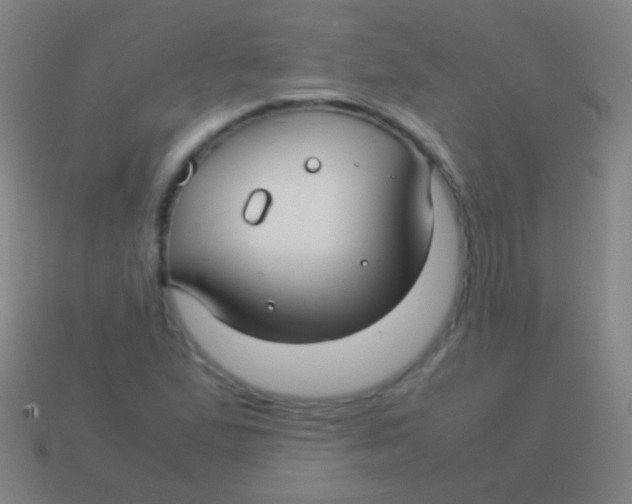 X0000113591167200910161836