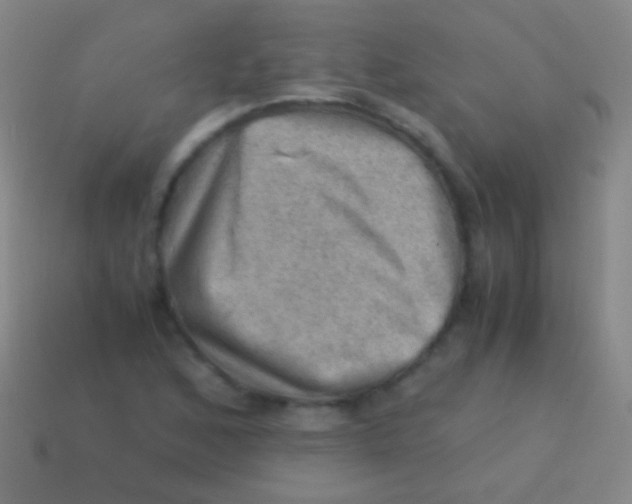 X0000113591168200910161836