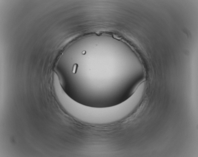 X0000113591169200910161836