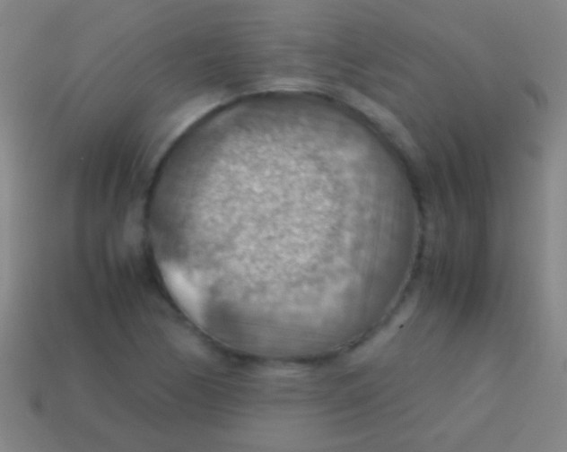 X0000113591170200910161836