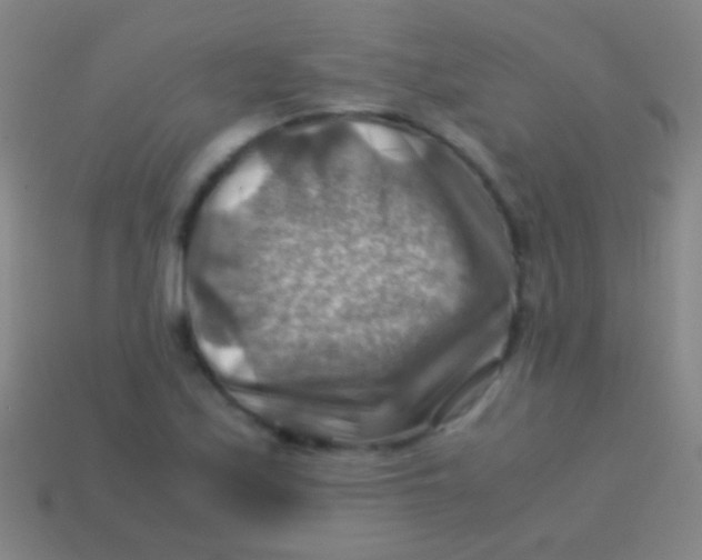 X0000113591171200910161836