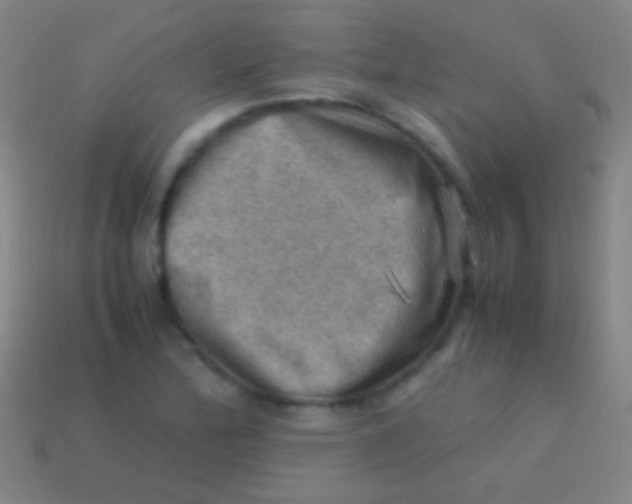 X0000113591172200910161836