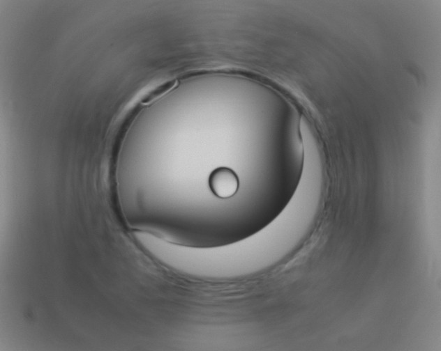 X0000113591173200910161836