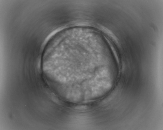 X0000113591174200910161836