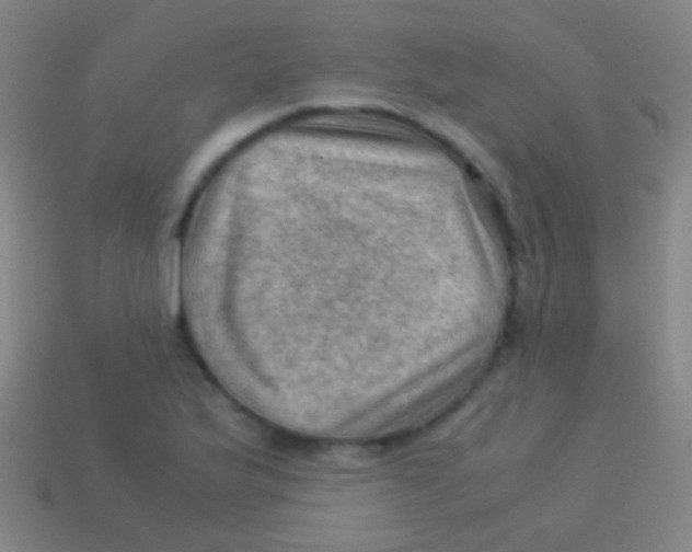 X0000113591175200910161836