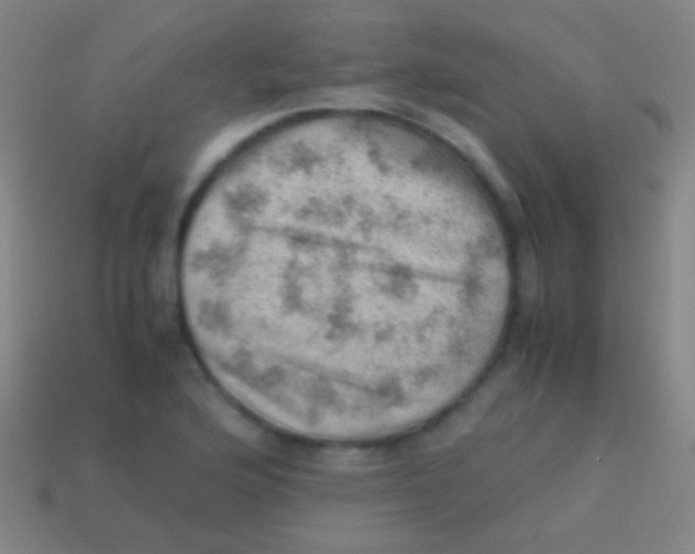 X0000113591176200910161836