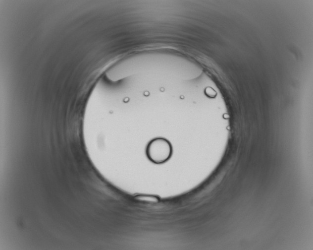 X0000113591177200910161836