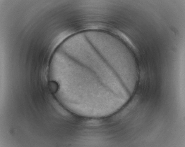 X0000113591178200910161836