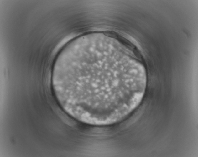 X0000113591179200910161836