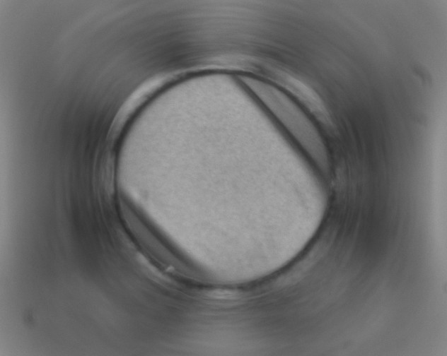 X0000113591180200910161836