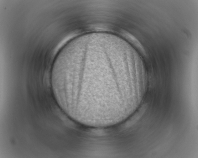 X0000113591182200910161836