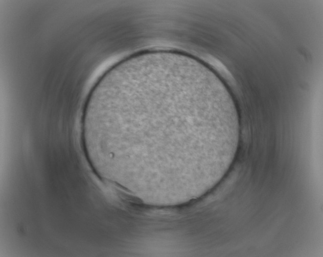 X0000113591183200910161836